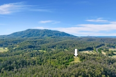 DJI_0273-copy2
