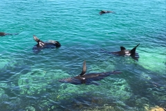 IMG-20220827-WA0000