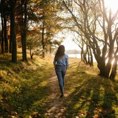 The science behind boosting your health with a walk in the forest