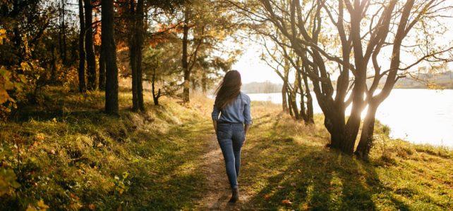 Forrest walk for your health